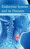 Endocrine System and its Diseases