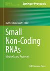 Small Non-Coding RNAs