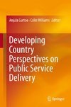 Developing Country Perspectives on Public Service Delivery