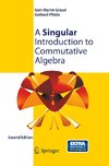 A Singular Introduction to Commutative Algebra