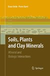 Soils, Plants and Clay Minerals