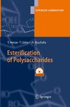 Esterification of Polysaccharides