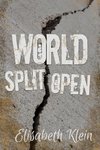 World Split Open