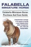 Falabella Miniature Horse. Falabella Miniature horse