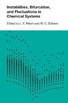 Instabilities, Bifurcations, and Fluctuations in Chemical S