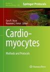 Cardiomyocytes