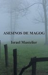 Asesinos de Magog