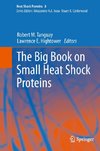 The Big Book on Small Heat Shock Proteins