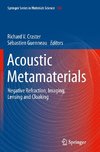 Acoustic Metamaterials