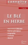 Fiche de lecture Le Blé en herbe de Colette (Analyse littéraire de référence et résumé complet)