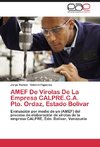 AMEF De Virolas De La Empresa CALPRE.C.A. Pto. Ordaz, Estado Bolivar