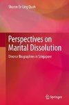 Perspectives on Marital Dissolution