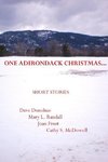 One Adirondack Christmas...