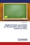 Agglomeration economies or comparative advantages matter in China