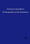 Die Encephalitis und der Hirnabszess