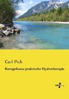 Kurzgefasste praktische Hydrotherapie