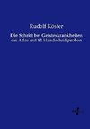 Die Schrift bei Geisteskrankheiten