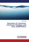 Dynamics of interfaces: interfacial rheology and alloy solidification