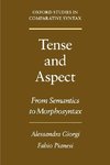 Giorgi, A: Tense and Aspect