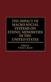 Impact of Macro Social Systems on Ethnic Minorities in the United States