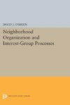 Neighborhood Organization and Interest-Group Processes