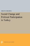 Social Change and Political Participation in Turkey