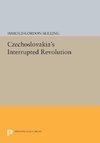 Czechoslovakia's Interrupted Revolution