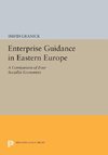 Enterprise Guidance in Eastern Europe