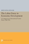 The Labor Force in Economic Development