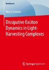 Dissipative Exciton Dynamics in Light-Harvesting Complexes