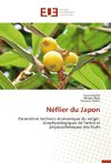 Néflier du Japon