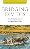 Bridging Divides