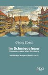 Im Schmiedefeuer: Roman aus dem alten Nürnberg