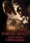 Le mal par le mâle