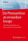 Die Photosynthese als erneuerbare Energie