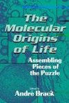 The Molecular Origins of Life