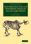 Recherches sur les ossemens fossiles des quadrupèdes - Volume             2