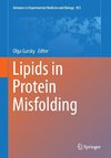 Lipids in Protein Misfolding