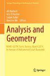 Analysis and Geometry