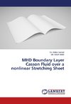 MHD Boundary Layer Casson Fluid over a nonlinear Stretching Sheet