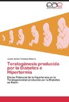 Teratogénesis producida por la Diabetes e Hipertermia