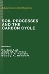 Soil Processes and the Carbon Cycle