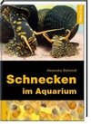 Schnecken im Aquarium