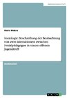 Soziologie. Beschreibung der Beobachtung von zwei Interaktionen zwischen Sozialpädagogen in einem offenen Jugendtreff