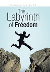 The Labyrinth of Freedom