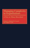 Managing Complexity in Organizations