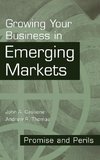 Growing Your Business in Emerging Markets