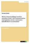 Welche Zusammenhänge bestehen zwischen schüler- oder lehrerzentrierten Arbeitsphasen und der emotionalen Befindlichkeit von Lehrenden?