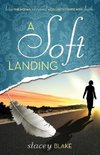 A Soft Landing