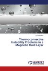 Thermoconvective Instability Problems in a Magnetic Fluid Layer